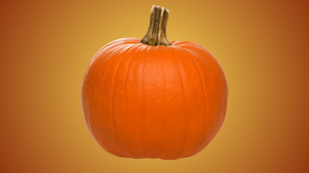 pumpkin