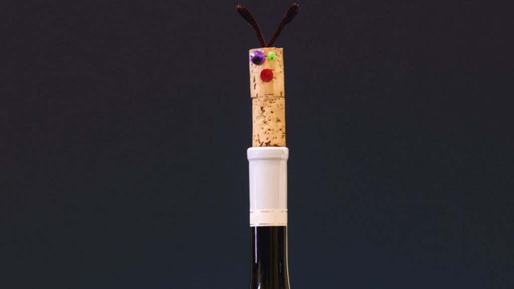 bottle stopper wine